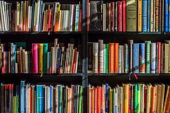 Ein Regal mit Schulbüchern.
