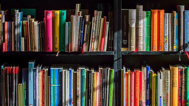 Ein Regal mit Schulbüchern.