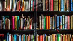 Ein Regal mit Schulbüchern.