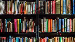 Ein Regal mit Schulbüchern.