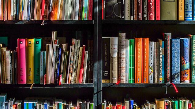 Ein Regal mit Schulbüchern.