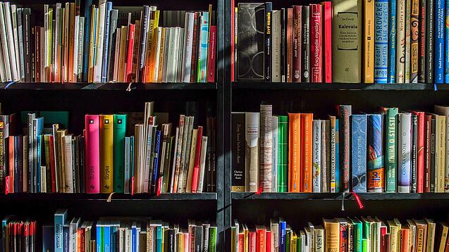 Ein Regal mit Schulbüchern.