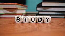 Buchstabenwürfel bilden das Wort "Study" auf einem Tisch.