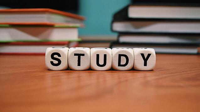 Buchstabenwürfel bilden das Wort "Study" auf einem Tisch.