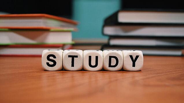 Buchstabenwürfel bilden das Wort "Study" auf einem Tisch.