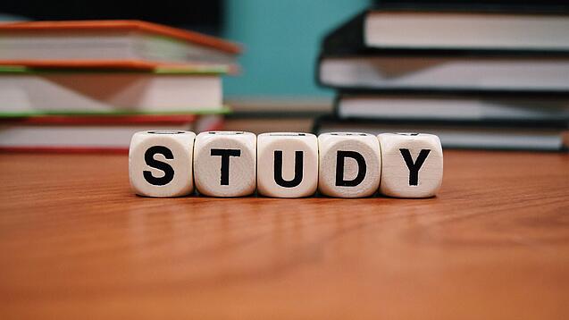 Buchstabenwürfel bilden das Wort "Study" auf einem Tisch.