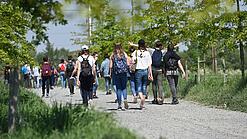 Schülerinnen und Schüler laufen über einen Weg durch die Natur.