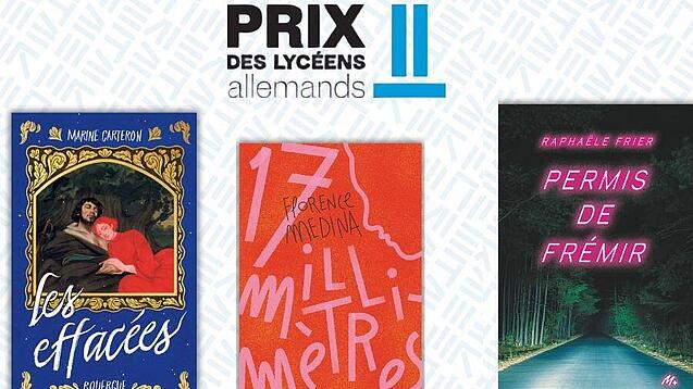 Der „Prix des lycéens allemands“ wurden drei aktuelle französische Jugendromane ausgewählt. 