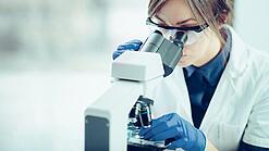 Eine Wissenschaftlerin schaut in ein Mikroskop.