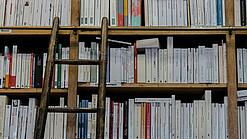 Eine Leiter steht an ein großes Bücherregal gelehnt.