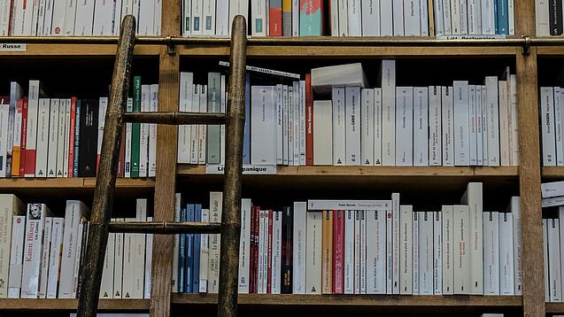 Eine Leiter steht an ein großes Bücherregal gelehnt.