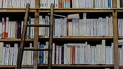 Eine Leiter steht an ein großes Bücherregal gelehnt.