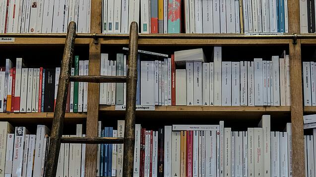 Eine Leiter steht an ein großes Bücherregal gelehnt.