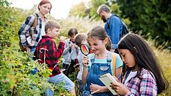 EIne Gruppe Schüler:innen untersucht Pflanzen auf einem Feld.