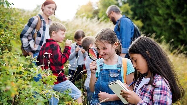 EIne Gruppe Schüler:innen untersucht Pflanzen auf einem Feld.
