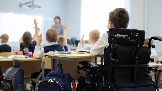 Es ist eine Schulklasse von hinten zu sehen, einer der Schüler sitzt in einem Rollstuhl. 