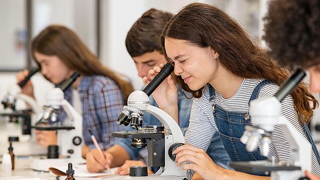 Schülerinnen und Schüler arbeiten mit Mikroskopen.