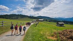 Eine Gruppe Kinder und Jugendliche läuft auf einem Weg.